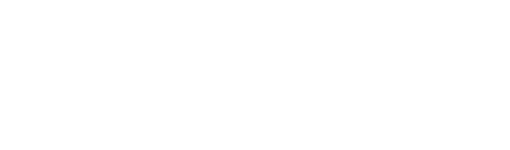 BodyShield Paint Protection Film